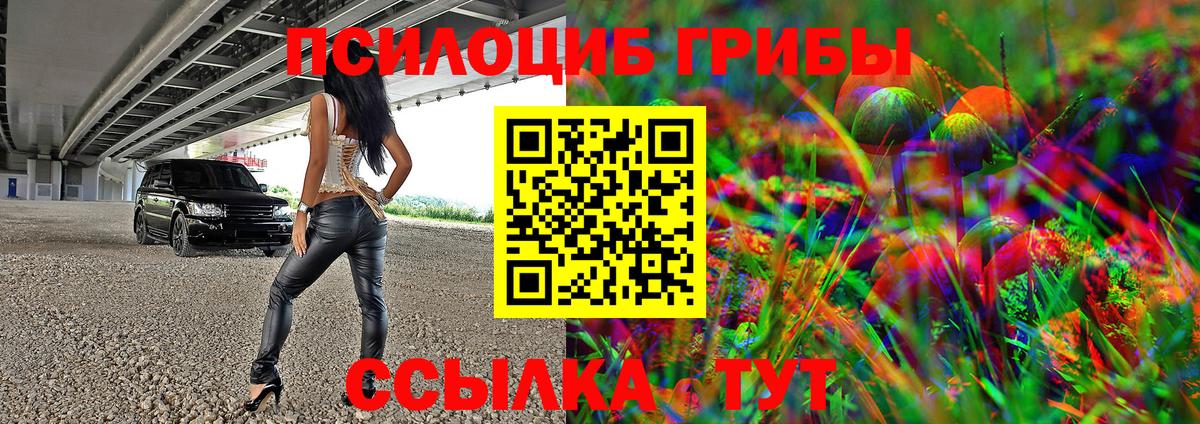 Псилоцибиновые грибы Psilocybe Можга